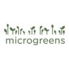 Microgreens